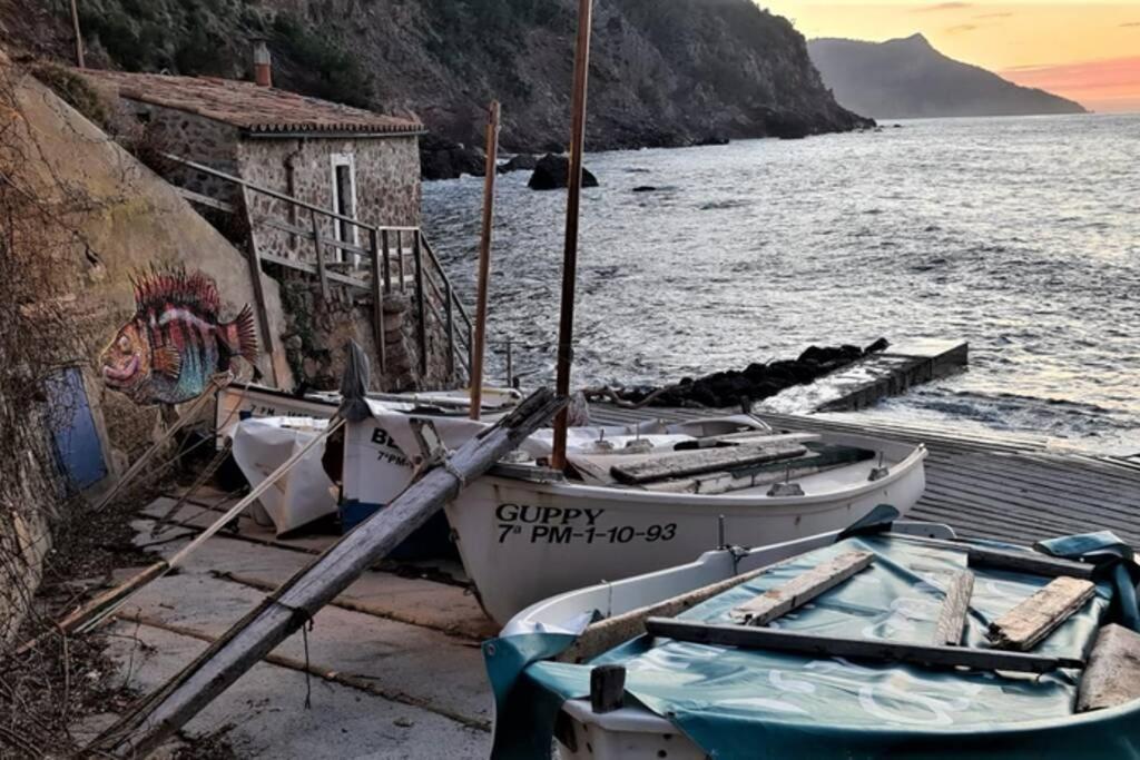 Casa Mistral, Un Paraiso De Mar Y Montana Valldemossa  Exteriör bild